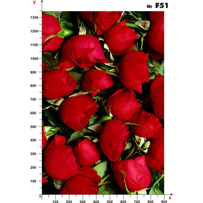 ДСФ_small_F_51
