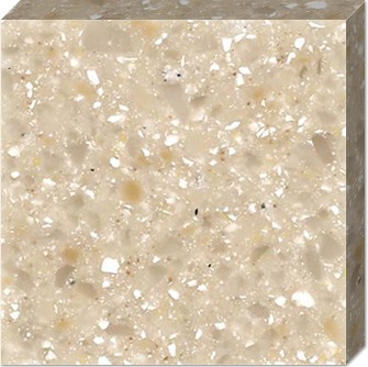 T008