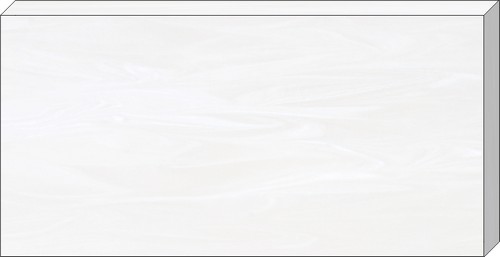 V009