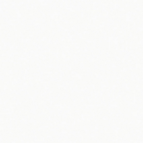 S06 Arctic White
