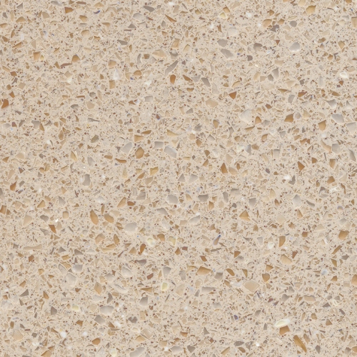 T005 COSMO