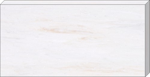 V008