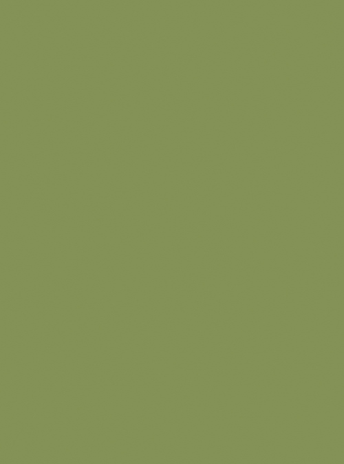 DuPont Corian Blooming Green-rgb