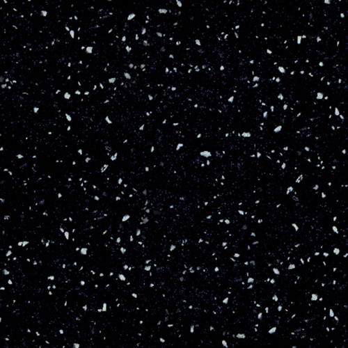 G047 BLACK BIRD