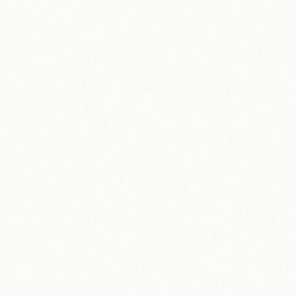 P-004